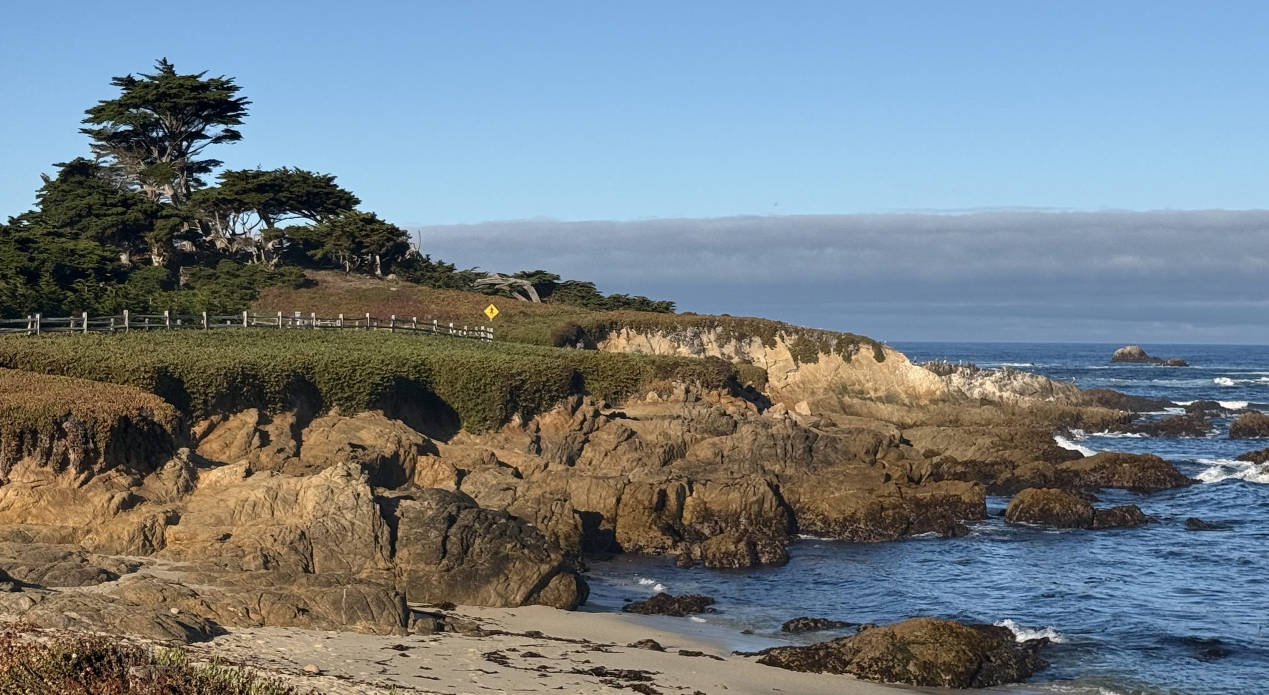 The Perfect 17 Mile Drive: an expert guide to the Monterey Peninsula's most scenic drive