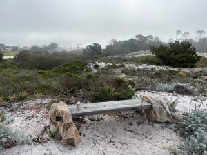 Park bench above Seal Rock Beach, 17 Mile Drive, Pebble Beach