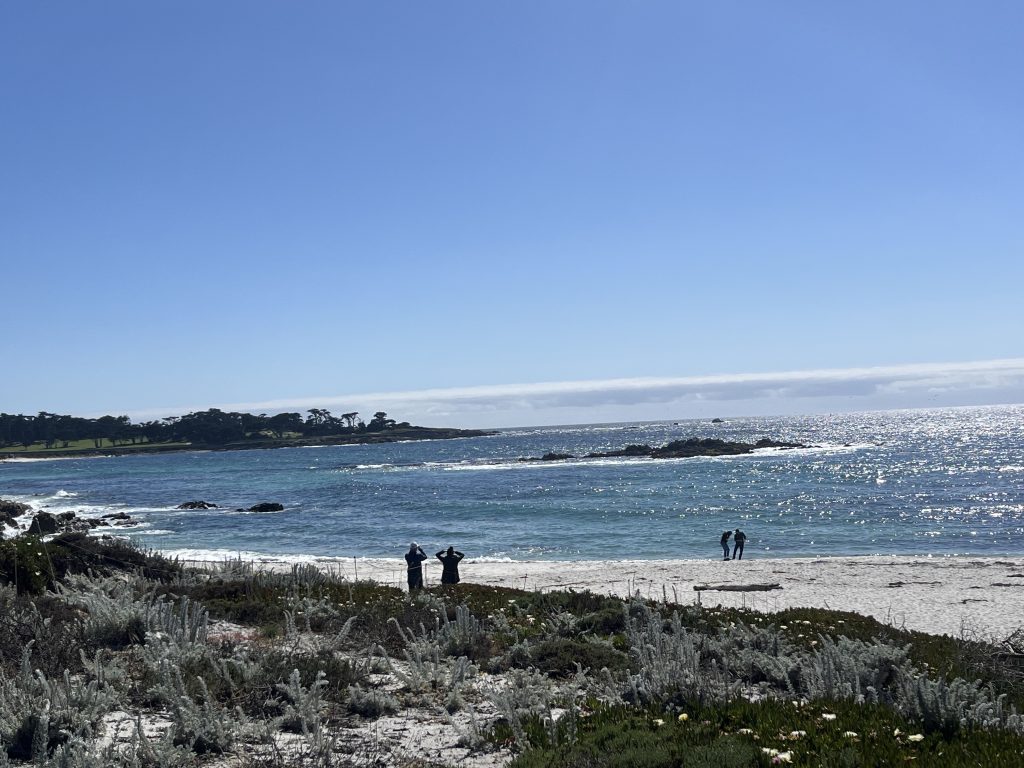 Seal Rock Beach, 17 Mile Drive, Pebble Beach