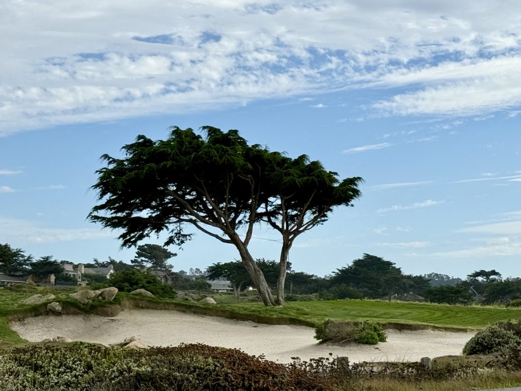 MPCC Sand Dune