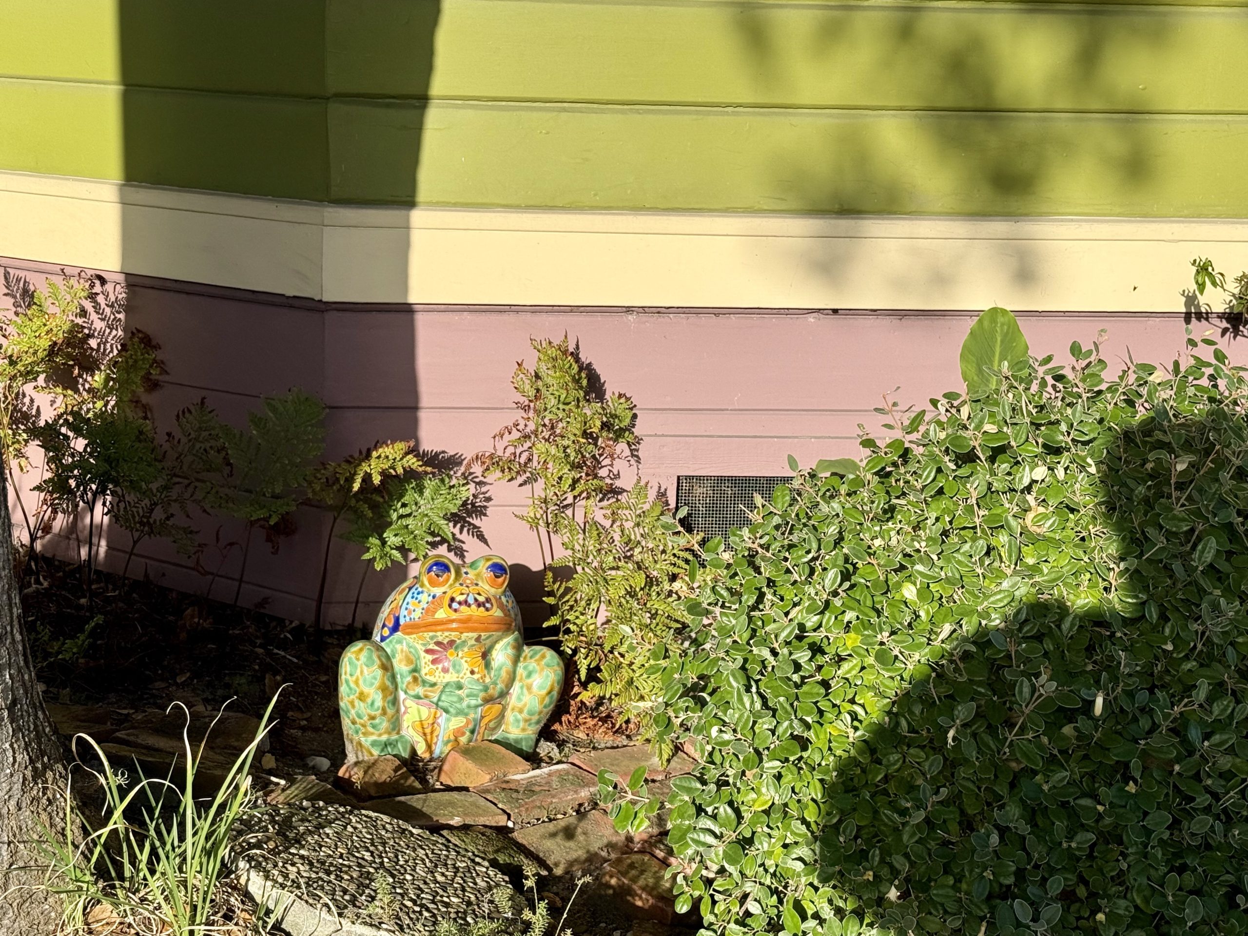 Pacific Grove, City of Homes #10: Toad Hall