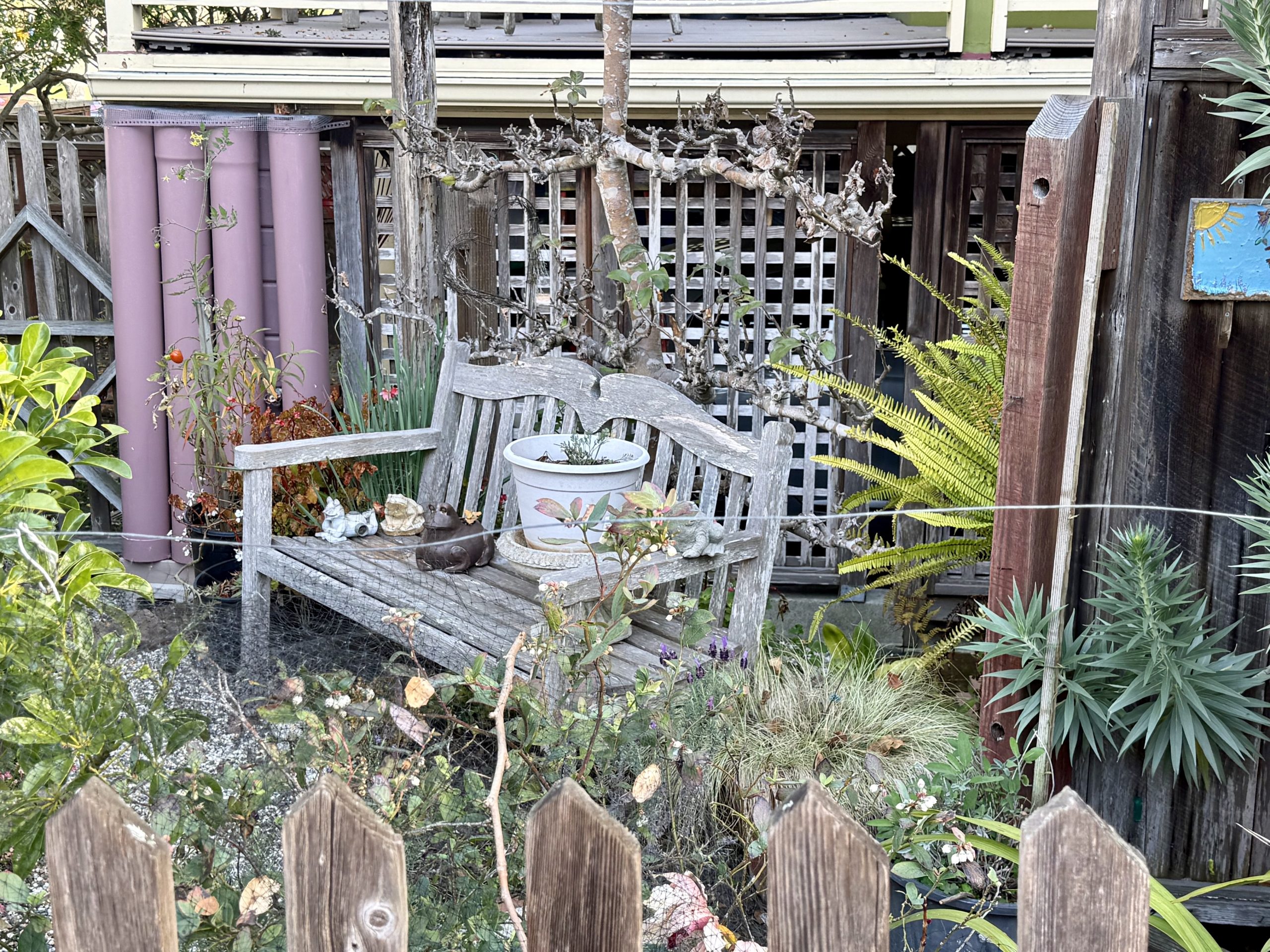 Pacific Grove, City of Homes #10: Toad Hall