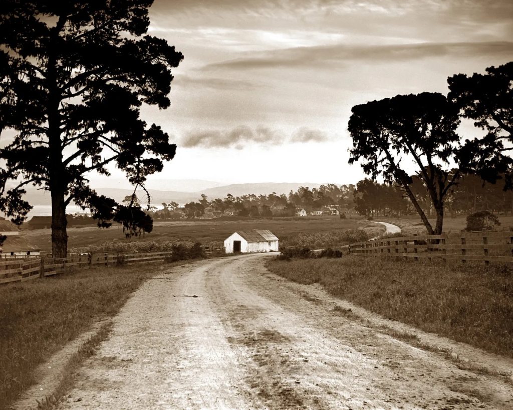 Lighthouse Road
