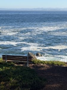 Pacific Grove, City of Neighborhoods, #1: The Retreat