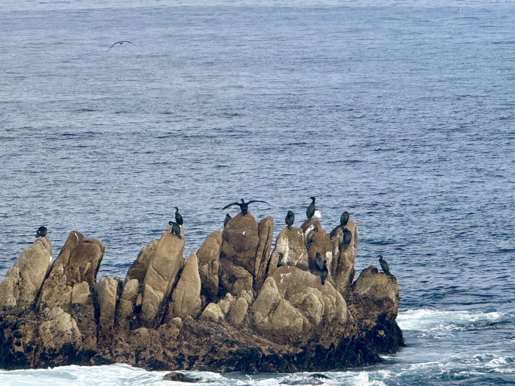 Pacific Grove, City of Neighborhoods, #1: The Retreat
