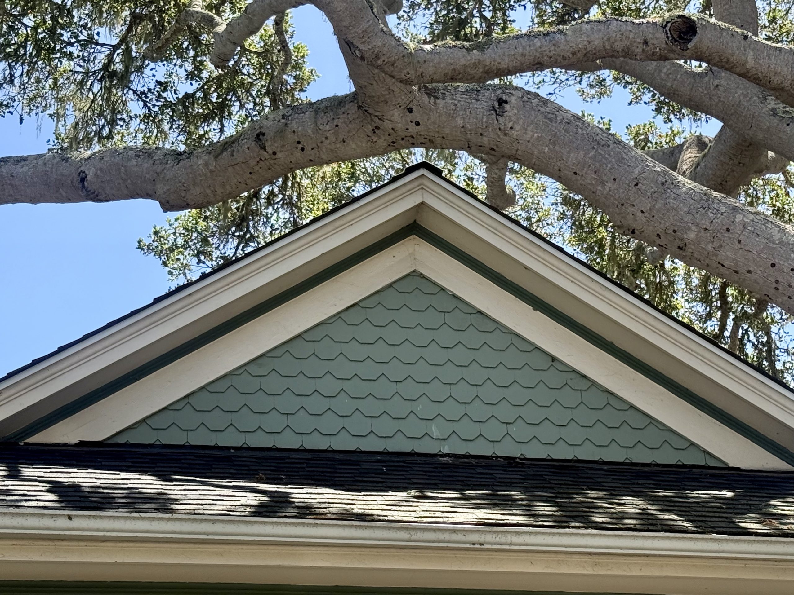 Pacific Grove, City of Homes, #25: 215 Lobos Avenue