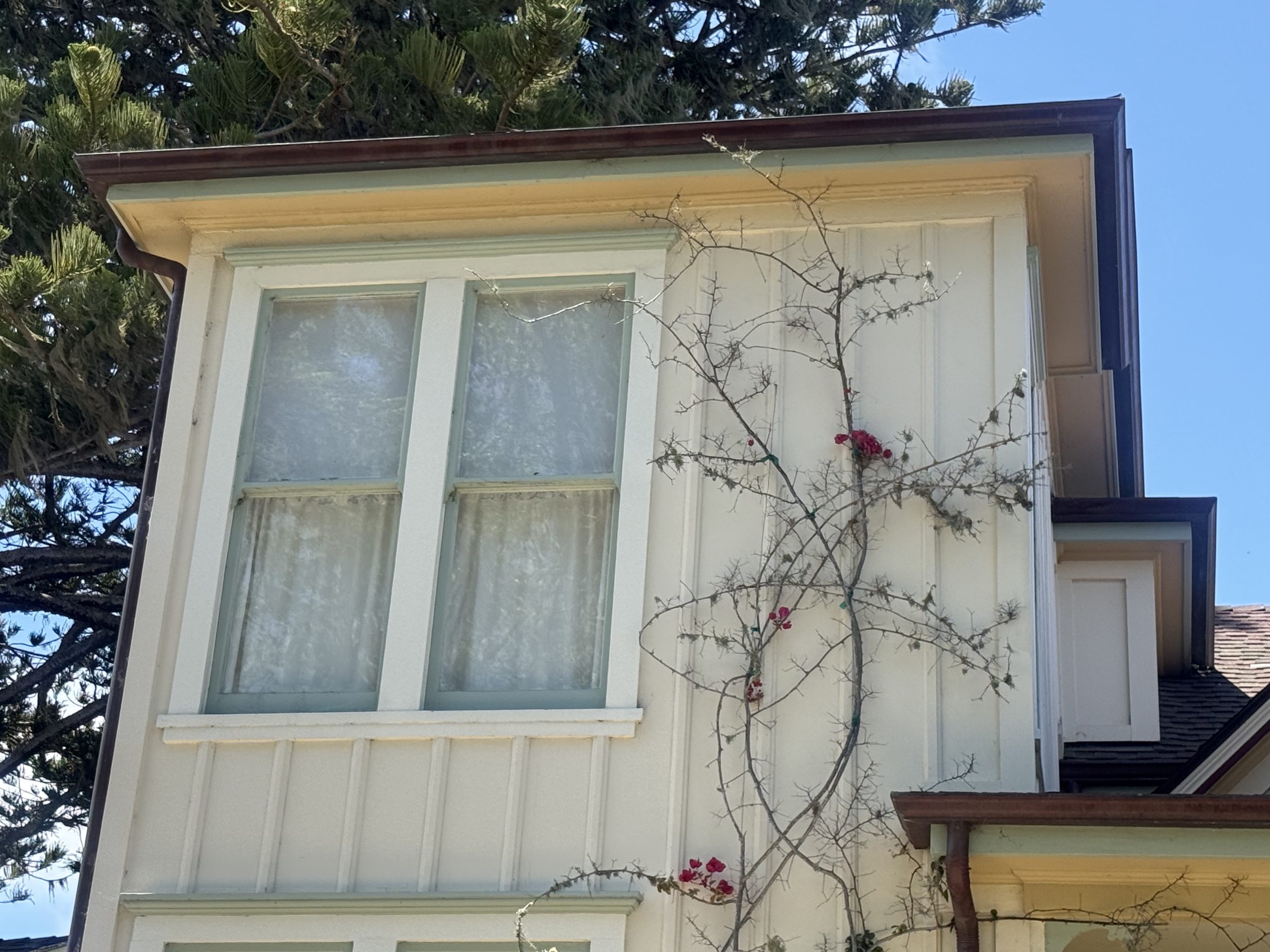 Pacific Grove, City of Homes, #39: 118 Caledonia Avenue