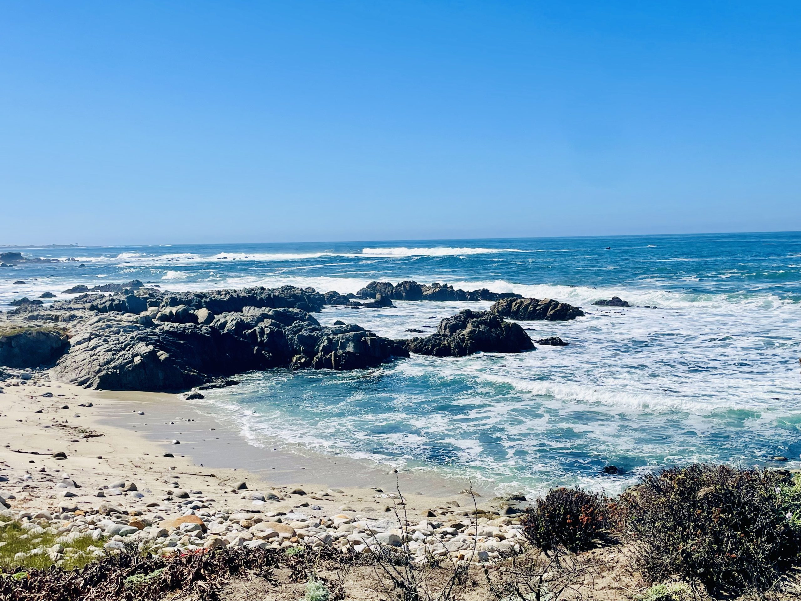 Pacific Grove: Neighborhood Guide: Asilomar