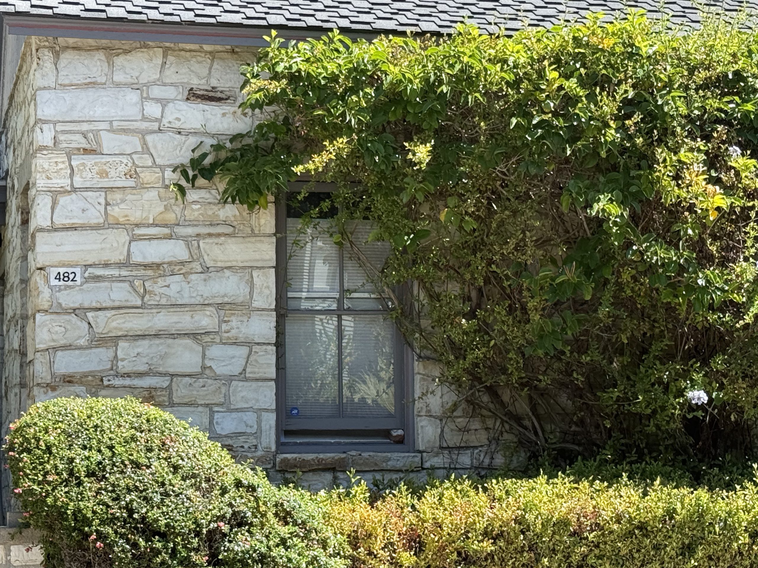 Shaded windows