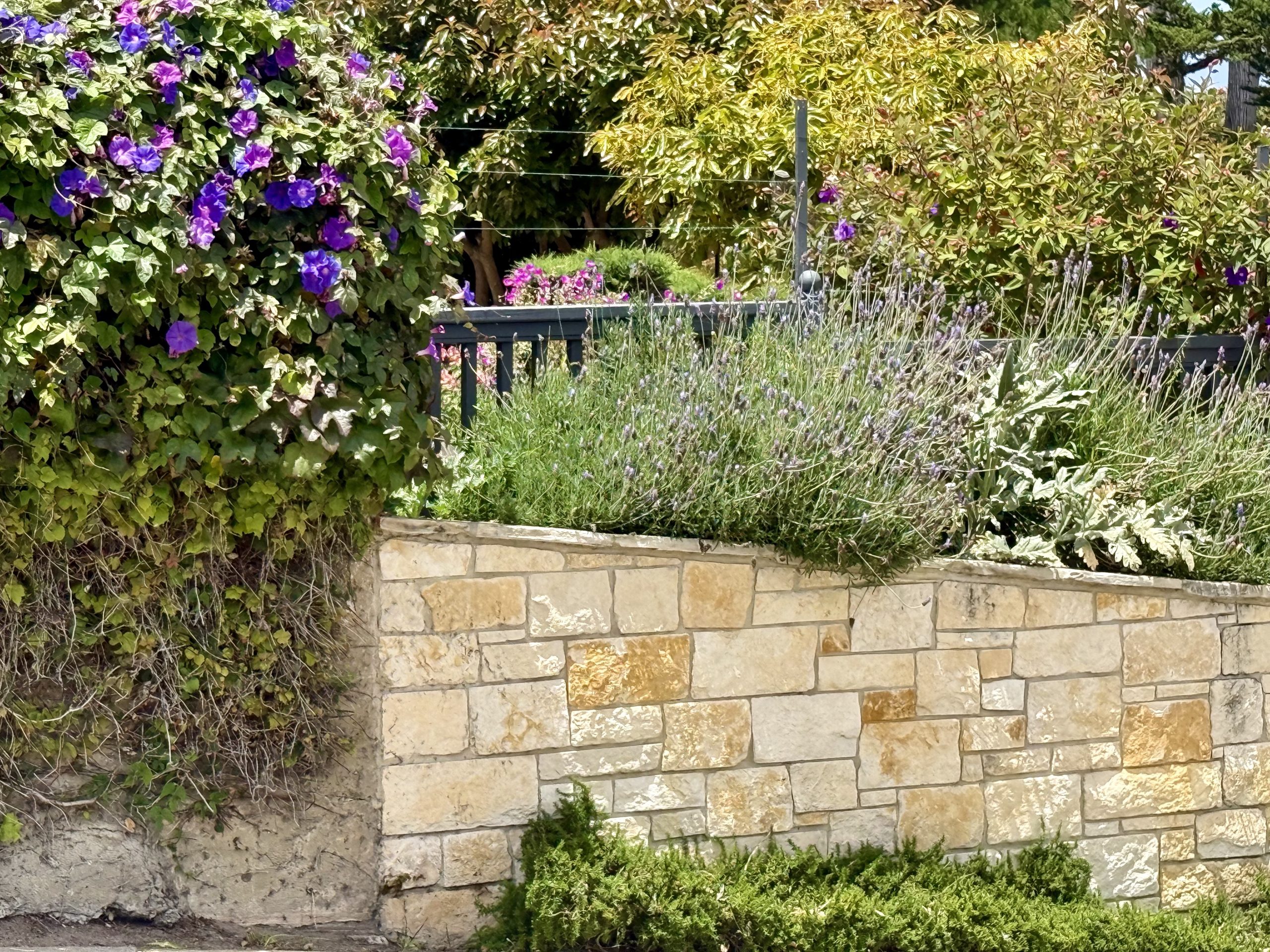 Stone wall and Garden