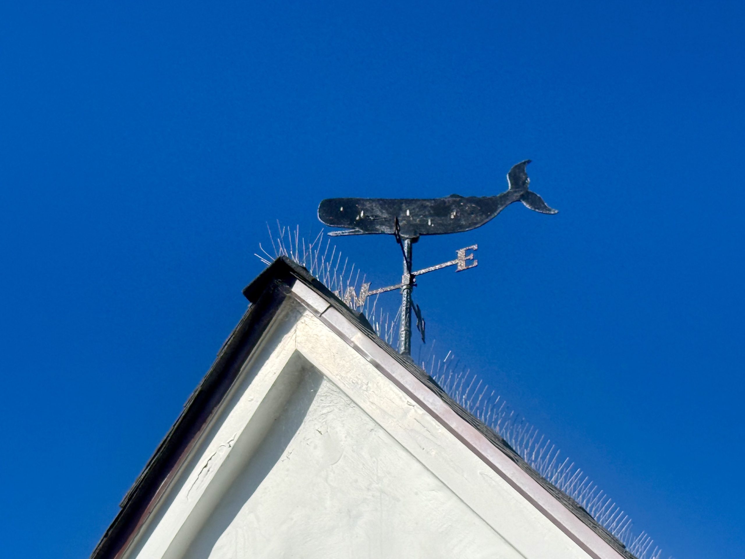 Whale weathervane